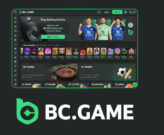 Everything You Need to Know About BC.Game Casino
